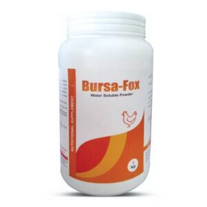 Bursa Fox